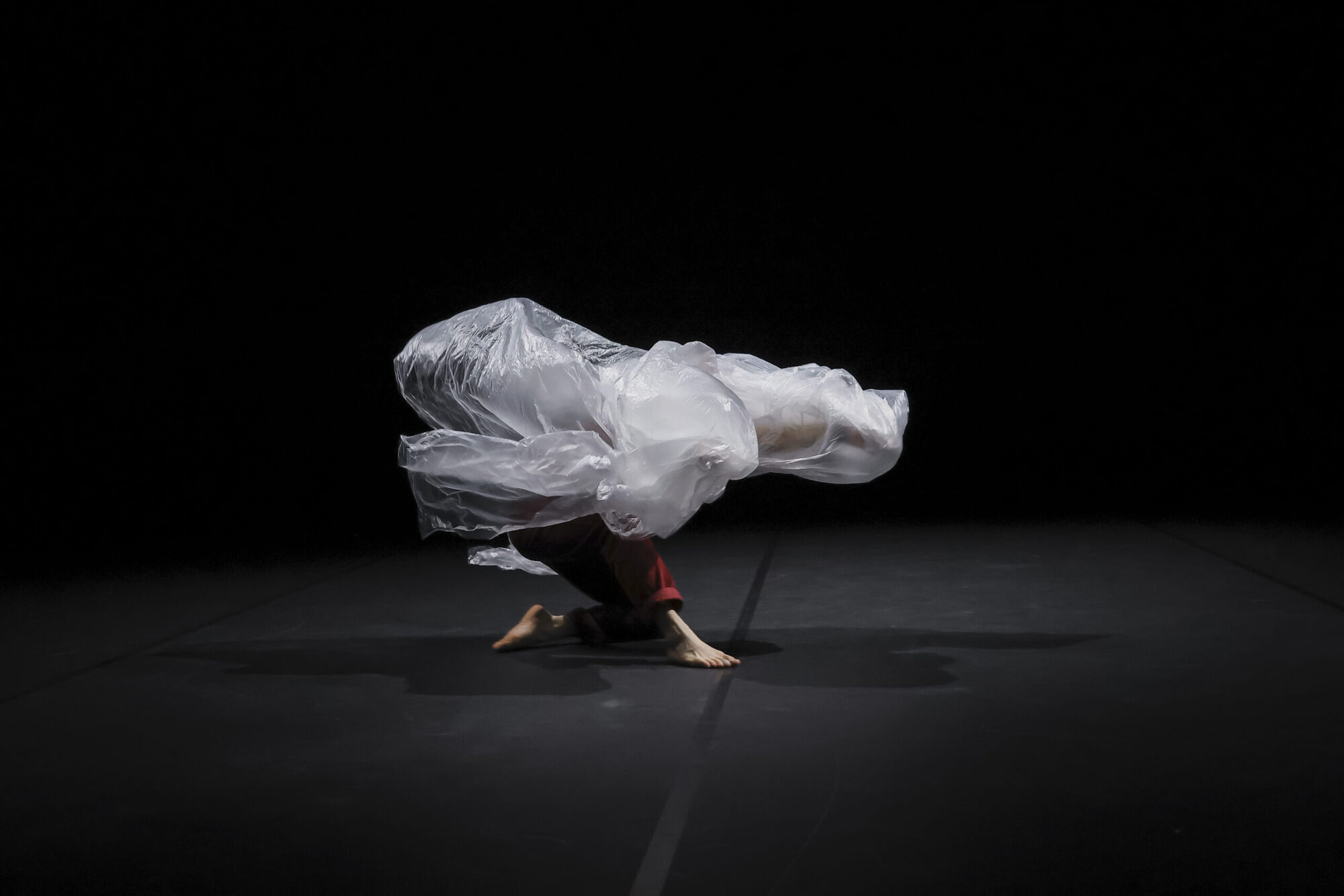 photo HAÏKU(S) - l’Esquisse d’une pensée bègue © Gabriela T. Vargas