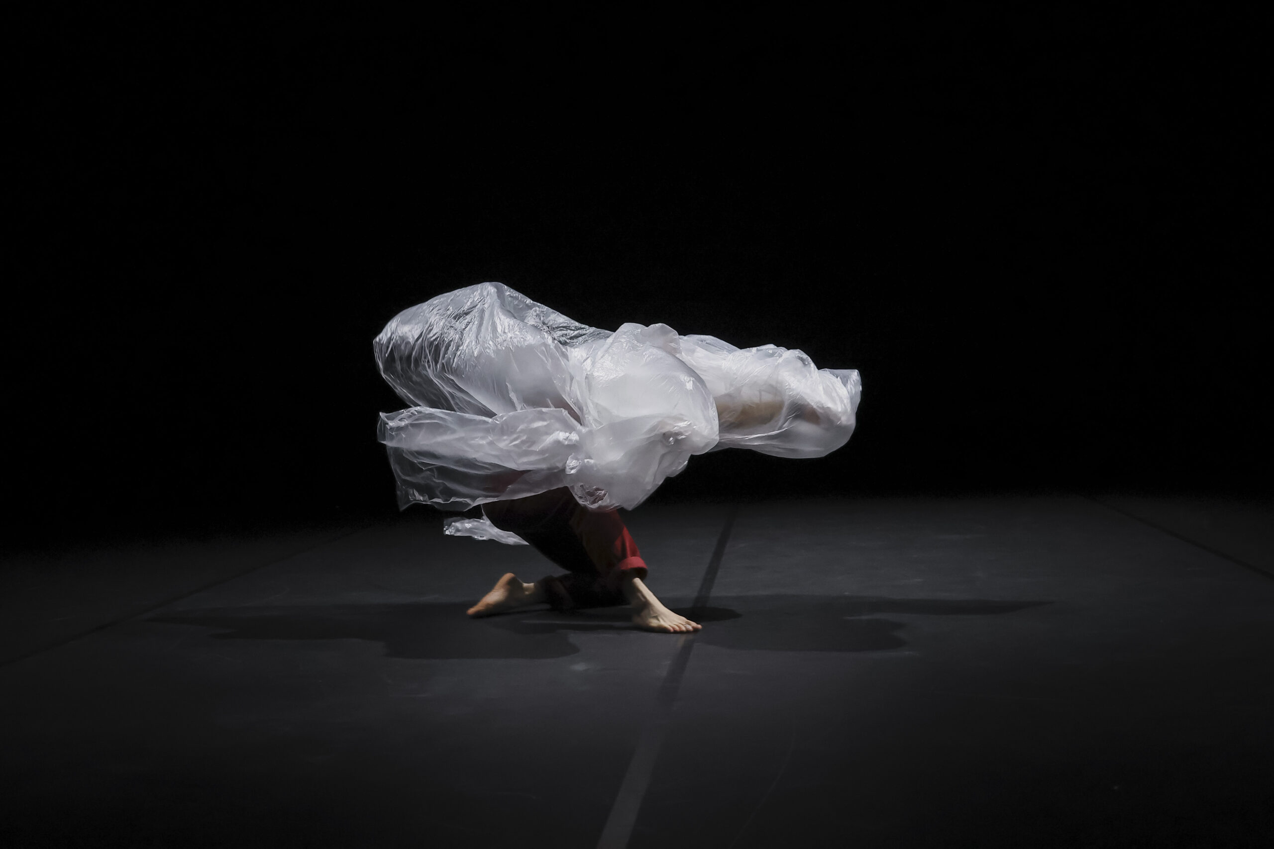 photo HAÏKU(S) - l’Esquisse d’une pensée bègue © Gabriela T. Vargas
