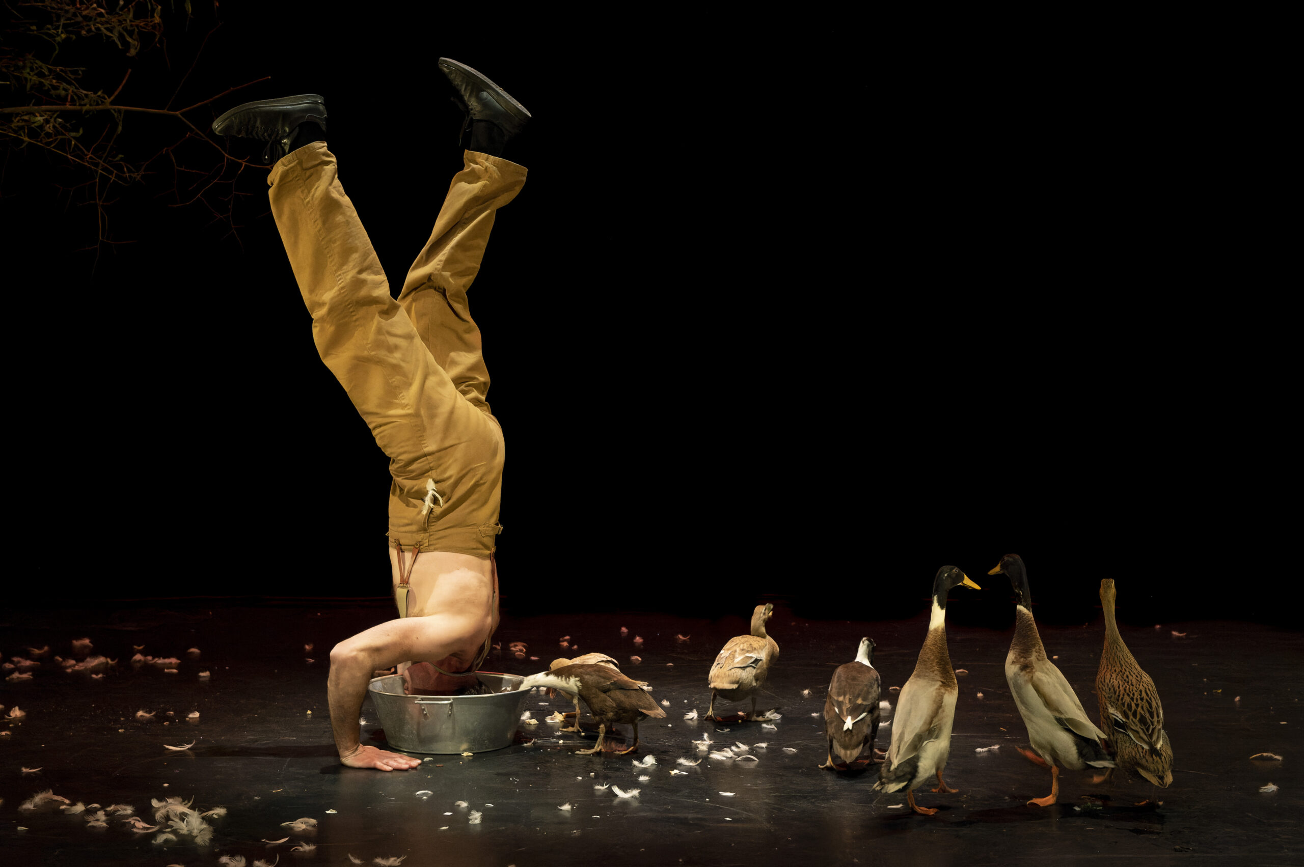 Poil de la bête © Daniel Michelon