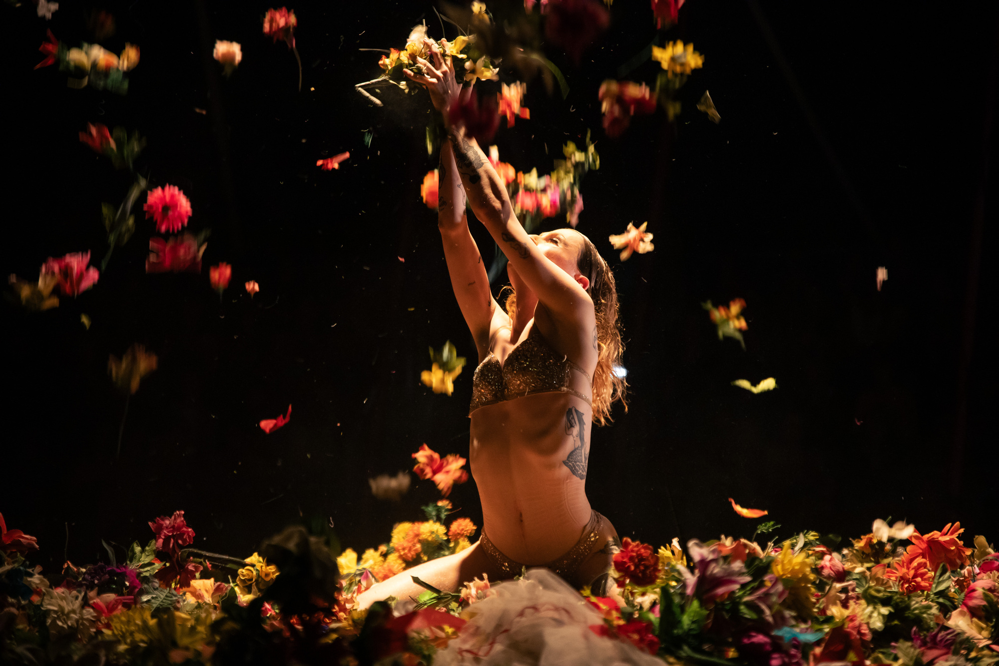 photo du spectacle Le Premier Artifice